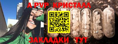 ПСИЛОЦИБИНОВЫЕ ГРИБЫ Можга