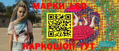 ПСИЛОЦИБИНОВЫЕ ГРИБЫ Можга