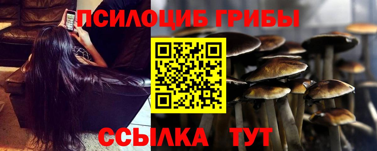 Галлюциногенные грибы Psilocybe  Вход с VPN  купить   Гусь-Хрустальный 